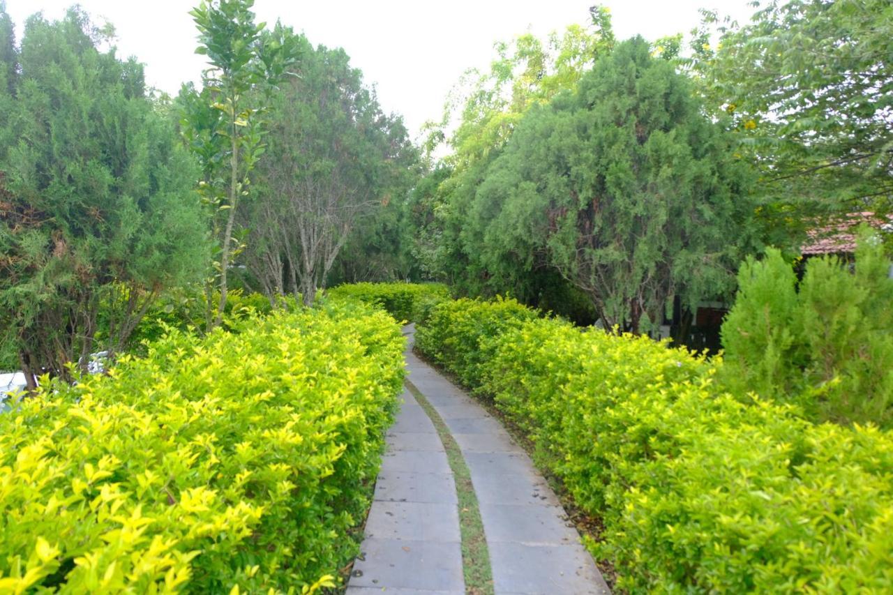Chalets Resort Masinagudi Ooty Exteriér fotografie