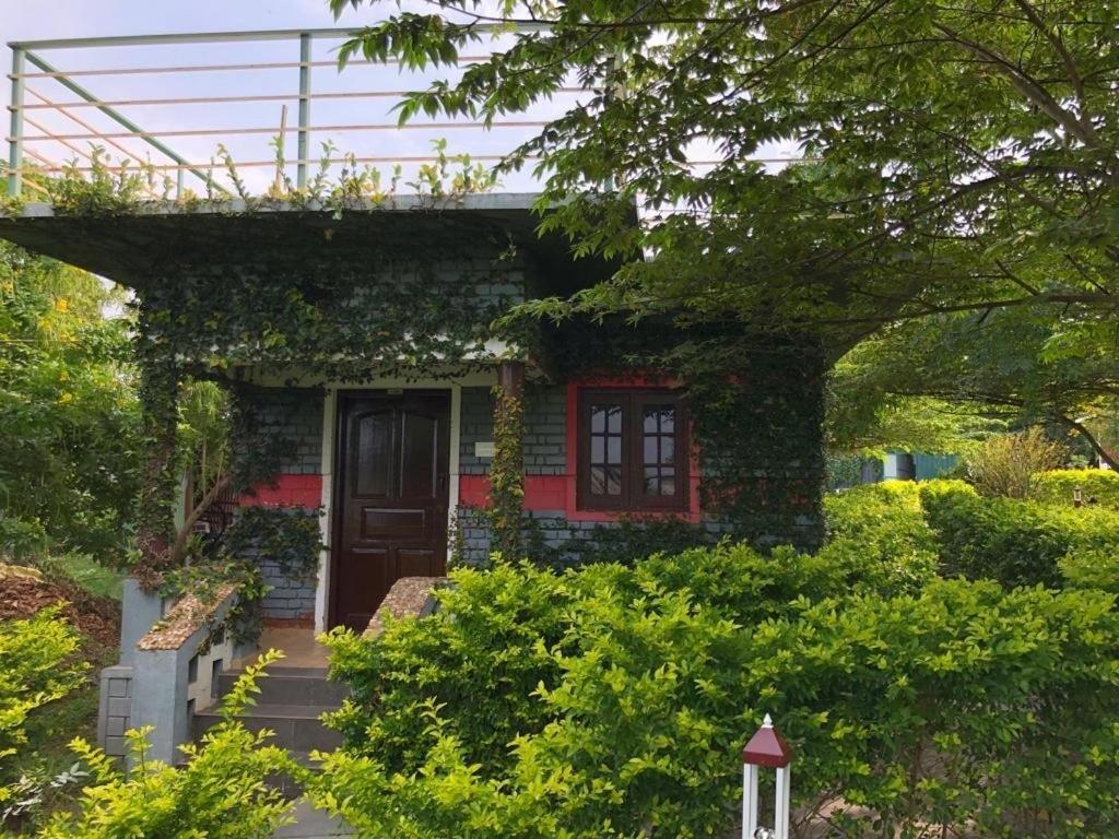 Chalets Resort Masinagudi Ooty Exteriér fotografie