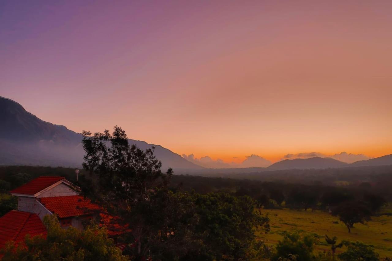Chalets Resort Masinagudi Ooty Exteriér fotografie